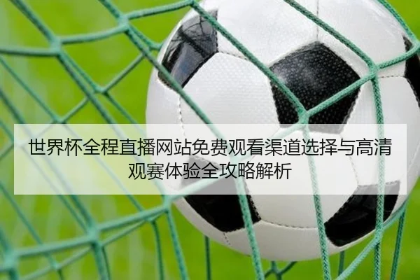 世界杯全程直播网站免费观看渠道选择与高清观赛体验全攻略解析