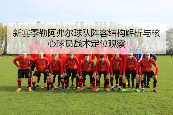 新赛季勒阿弗尔球队阵容结构解析与核心球员战术定位观察